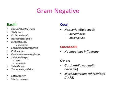 Gram Negative Coccobacilli List