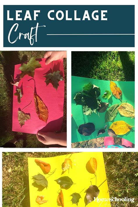 Leaf Collage Craft - Homeschooling Preschool