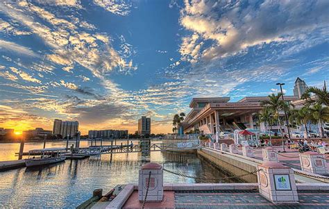 Best things to do in Tampa, Florida [and where to stay] - Love and Road