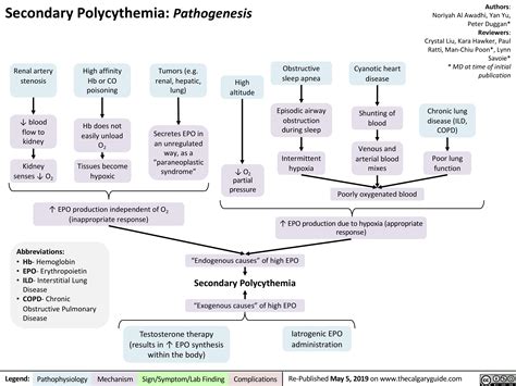 Secondary Polycythemia: Pathogenesis | Calgary Guide