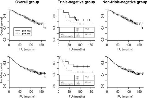 Kaplan – Meier survival curves in the overall, triple-negative and ...