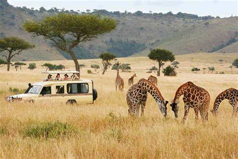 Why Kenya Is the Best Place for a Safari, According to a Seasoned Local ...