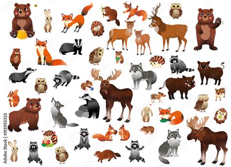 Big cartoon forest animals vector set for children. Mega collection of ...