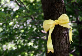 Tree with Yellow Ribbon round it | Yellow Ribbon