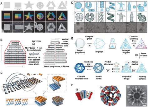 DNA origami structures. A) Single‐layered DNA origami shapes and ...