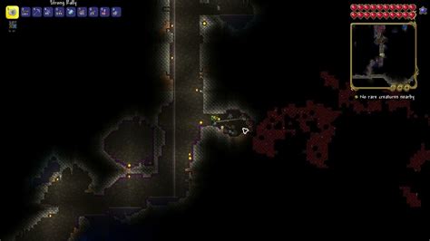 Great way to locate Spider Biomes - Terraria 1.4.3.2 - YouTube