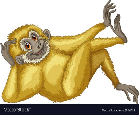 Gibbon Royalty Free Vector Image - VectorStock