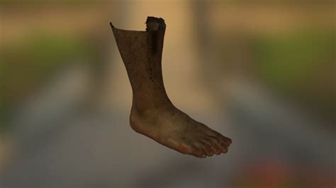 Foot 3D Scan - 3D model by Aniwaa [fbd850f] - Sketchfab