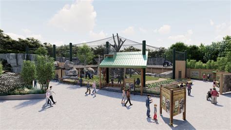 Franklin Park Zoo in Boston opening new outdoor gorilla habitat ...