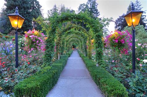 Rose Garden Arches And Path Stock Photo - Image: 11590912