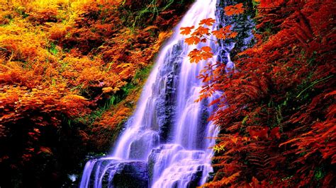 fall, rocks, plants, waterfall, branches, autumn, foliage HD Wallpaper