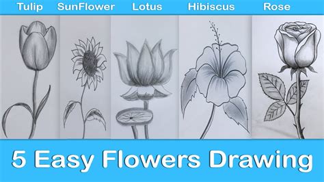 Easy Flowers Drawing || How to draw flowers 🌼 - YouTube