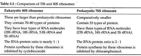 Ribosome: Meaning, Types and Structure