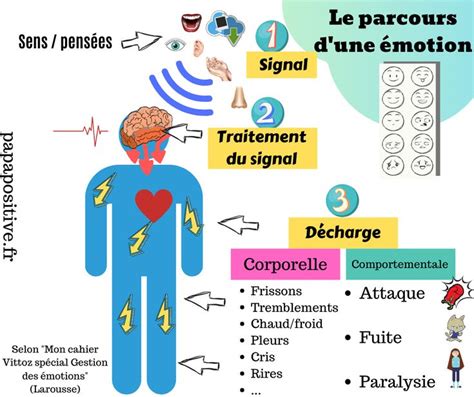 Schéma : le parcours d’une émotion | Émotions, Les émotions, Gestion ...