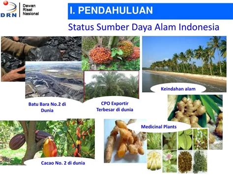 Sumber Daya Alam Di Indonesia - Berbagi Informasi