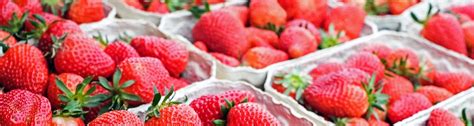 Enjoy Florida Strawberries! - UF/IFAS Extension Polk County