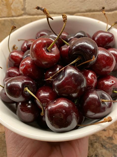 Cherry Tree Seeds 15 Pack - Etsy