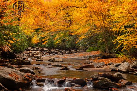 Fall Color Over Stream Smoky Mountains Fine Art Photo Print | Photos by ...