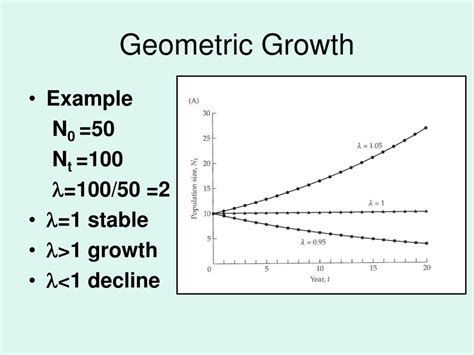 PPT - Demography, Metapopulations, and PVA PowerPoint Presentation ...