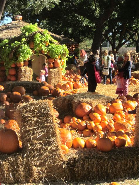 Pumpkin Village at Dallas Arboretum. Fall festival continues until ...