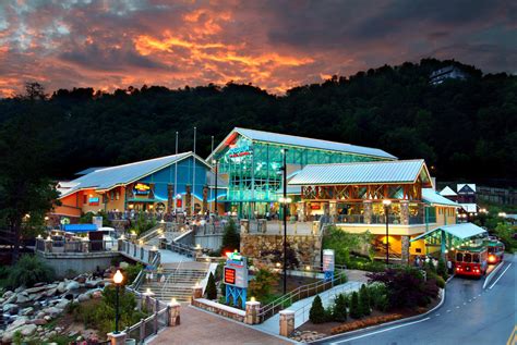 Attractions In Gatlinburg | Aquariums, Museums & Mini-Golf