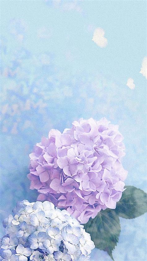 Hydrangea Shrub Woody Plant Vascular Plant Background in 2020 | Flower ...