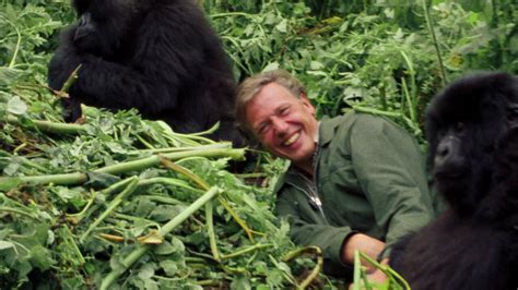 Watch David Attenborough: A Life on Our Planet | Netflix Official Site