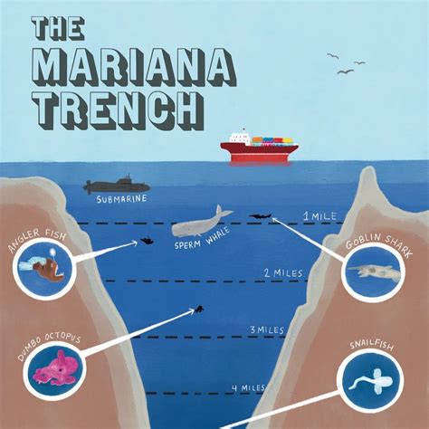 Discover the Mysteries of the Mariana Trench