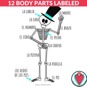 Spanish Body Parts Poster - Classroom Decor - Day of the Dead Skeleton