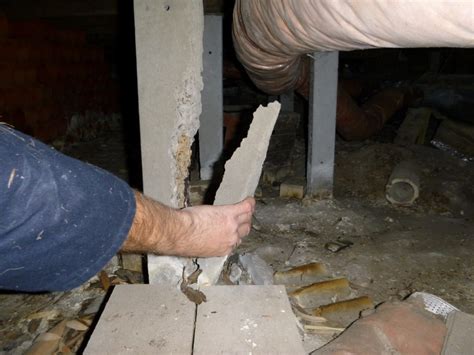 Pest & Building Inspection Frankston - Damaged Concrete Stumps ...