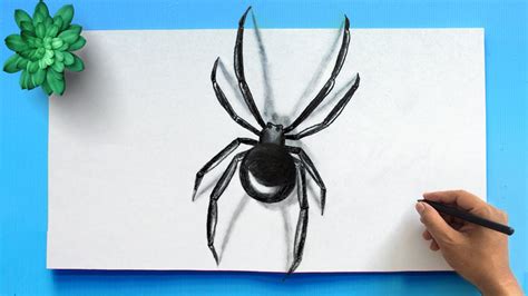 How To Draw A Realistic Spider