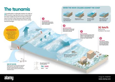 Infographic that analyzes the phases of formation of a tsunami and its ...