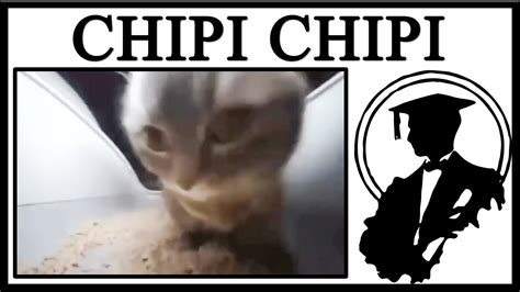 You Cannot Escape The Chipi Chipi Chapa Chapa Cat - YouTube