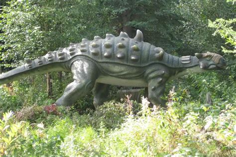 Ankylosaurus | Environment Buddy