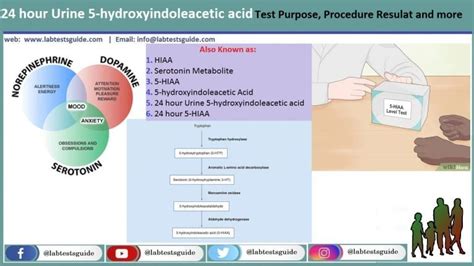 5-HIAA Test Purpose, Procedure, Result and more | Lab Tests Guide