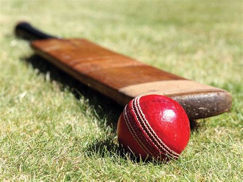 Cricket Quiz | Britannica.com