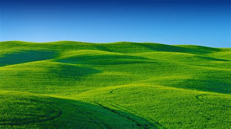 Rolling green hills and blue sky - backiee