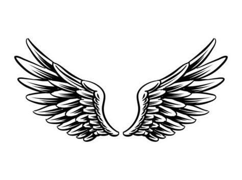 Wings Vector Art, Icons, and Graphics for Free Download