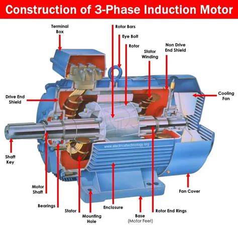 Three Phase Induction Motor: Types, Working, and Applications