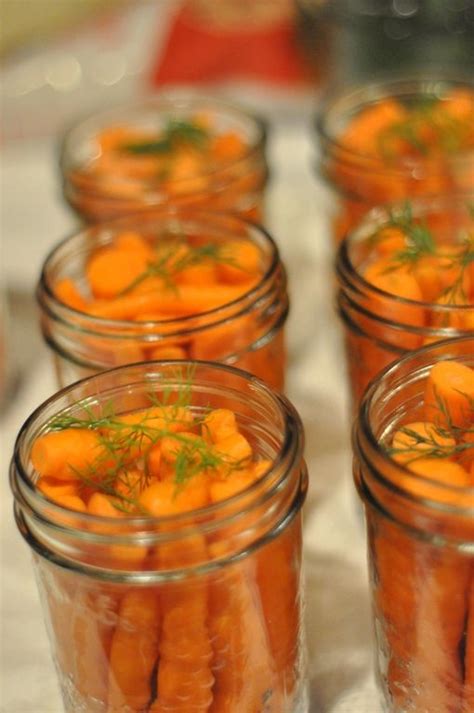 Dilled Carrots | Canning recipes, Pickling recipes, Pickled carrots