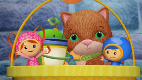 Team Umizoomi Cat