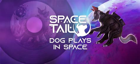 Dog Plays in Space Bundle – MMO.Net