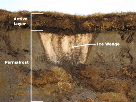 Cambio climático: ¿sabes qué es el permafrost o las consecuencias que ...