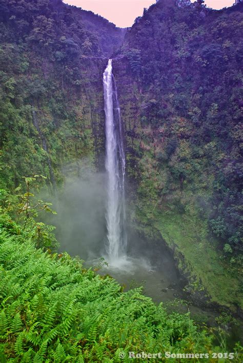 Blue Heron Blast: Akaka Falls with cranial adjustment