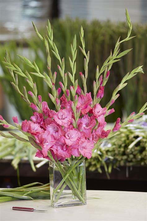 #arrangement #beautiful #gladiolus #calglads #cagrown #from #of #aA ...