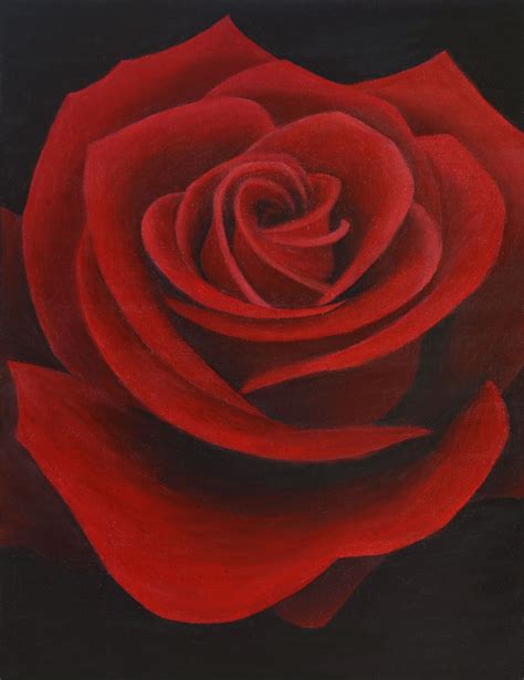 Red Rose Painting, Deep Red Rose by Erin Hale_Art Lovers Australia