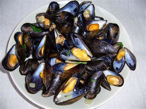 Mussels | Steamed mussels, Mussels, Seafood recipes