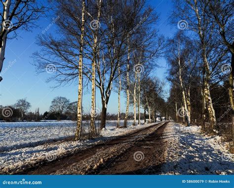 Valkenswaard 1 stock image. Image of europe, snowy, valkenswaard - 58600079