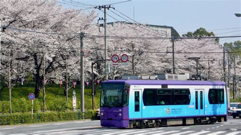 The Sakura Tram: a ride through lesser known Tokyo - Exploring Old Tokyo