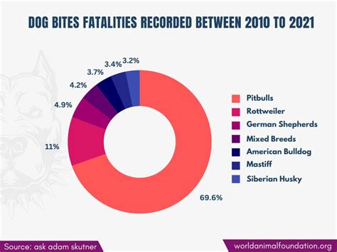 Dog Bite Statistics - Overview Reveals Shocking Revelations